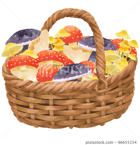 裝滿籃子的蘑菇插圖 96655154