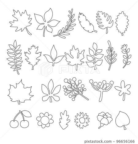 Leaves and flowers Leaves and flowers 96656166