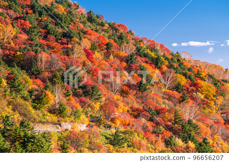 “福島縣”天狗庭園的紅葉 / 萬代東天際線“紅葉盛期” 96656207