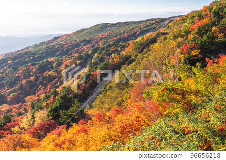 "Fukushima Prefecture" Autumn leaves in Tengu's garden / Bandai Azuma Skyline "Autumn leaves at its peak" 96656218