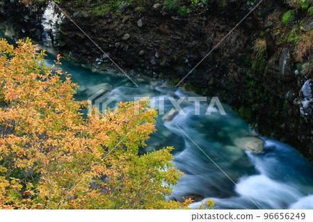 [北海道美瑛町]美瑛川與紅葉 96656249