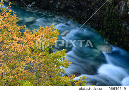 [Biei Town, Hokkaido] Biei River and Autumn Leaves 96656349