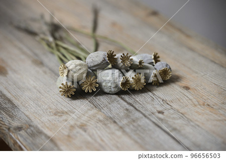 dried poppy seed heads dried poppy seed heads 96656503
