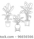 Potted plants 96656566