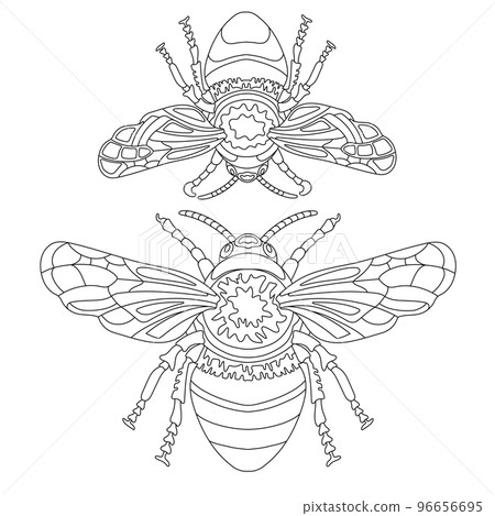 The Bee The Bee 96656695