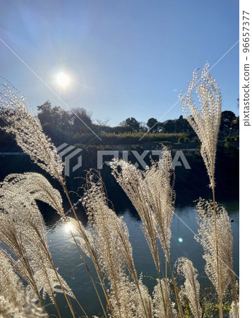 深秋的一瞬間 96657377