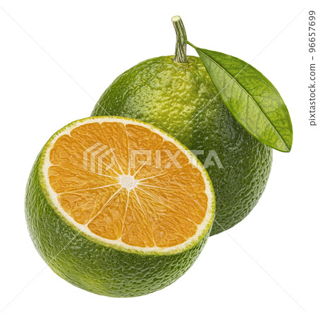 Green tangerine isolated on white background, full depth of field Green tangerine isolated on white background, full depth of field 96657699