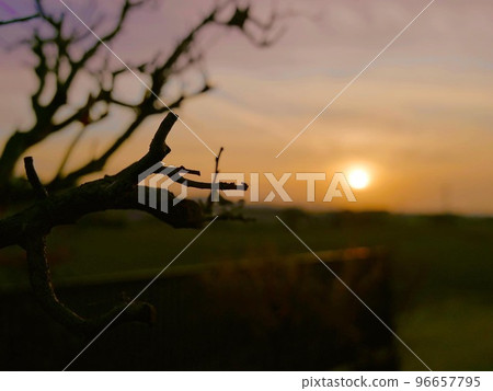 晚報 晚報 96657795