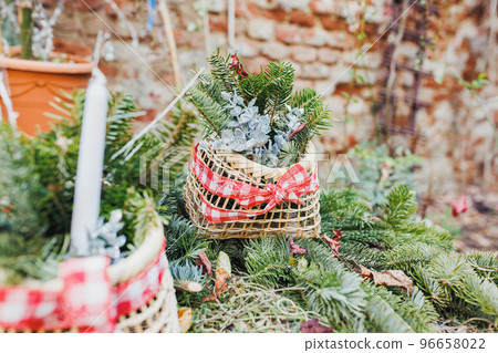 Natural DIY outdoor Christmas decoration in garden. Pine branches in straw basket. Environment, recycle, reuse and zero waste concept. Selective focus, focus space 96658022