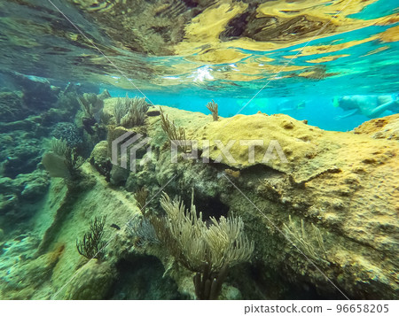 Group of people snorkeling near sunken ship under the sea. Beautifiul underwater colorful coral reef at Caribbean Sea at Honeymoon Beach on St. Thomas, USVI - travel concept Group of people snorkeling near sunken ship under the sea. Beautifiul underwater colorful coral reef at Caribbean Sea at Honeymoon Beach on St. Thomas, USVI - travel concept 96658205