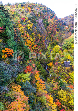 [Fukushima Prefecture/Bandai Azuma Skyline] Autumn foliage spot, Tsubakuro Valley, October 96658292