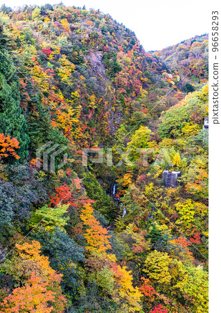 [Fukushima Prefecture/Bandai Azuma Skyline] Autumn foliage spot, Tsubakuro Valley, October 96658293
