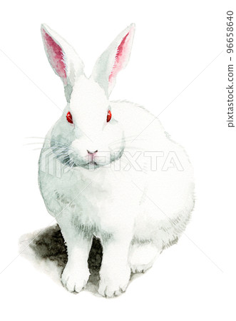 analog watercolor white rabbit 96658640