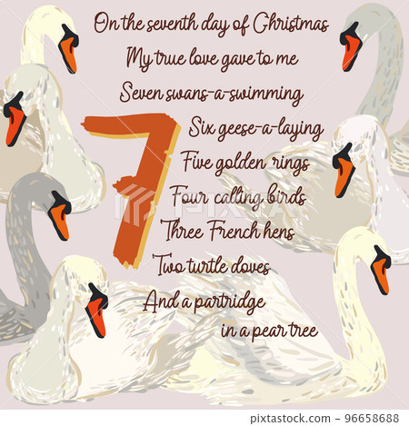 The twelve days of Christmas. Seventh day. Seven swans-a-swimming. Christmas concept. The twelve days of Christmas. Seventh day. Seven swans-a-swimming. Christmas concept. 96658688