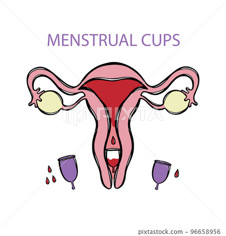 MENSTRUAL CUPS Gynecological Healthcare Zero Waste Feminine Hygiene Medical Hand Drawn Color Vector Illustration Set For Print 96658956