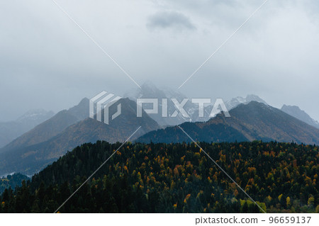 View of snowy mountains behind forest View of snowy mountains behind forest 96659137