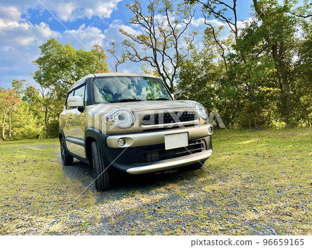 mountain road and car 96659165