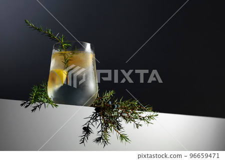 Gin-tonic cocktail with lemon, juniper branch, and ice. 96659471
