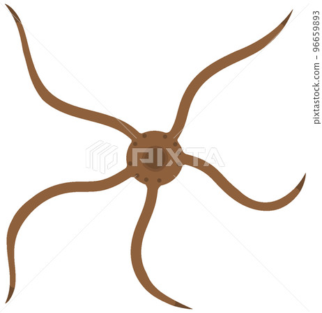 海星 海星 96659893