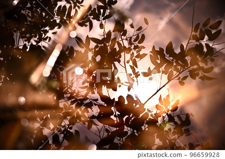 印度洋明珠,馬爾代夫,Formulak Pond 印度洋明珠,馬爾代夫,Formulak Pond 96659928