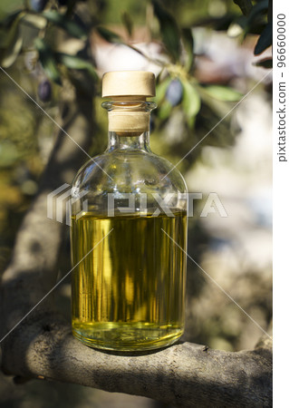 Olive oil with olive tree branch background. Natural oil for food or cosmetics from natural ingredients. Healthy food, cosmetics concept. Olive oil with olive tree branch background. Natural oil for food or cosmetics from natural ingredients. Healthy food, cosmetics concept. 96660000