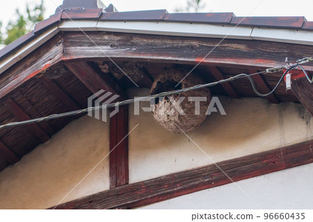 A hornet's nest made in a house A hornet's nest made in a house 96660435