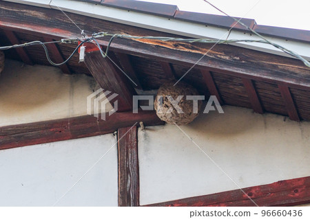 A hornet's nest made in a house 96660436