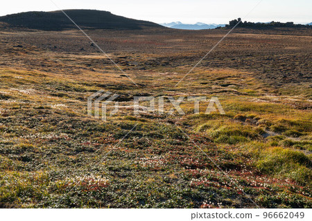 秋天的大雪山白樂岳火山口 96662049