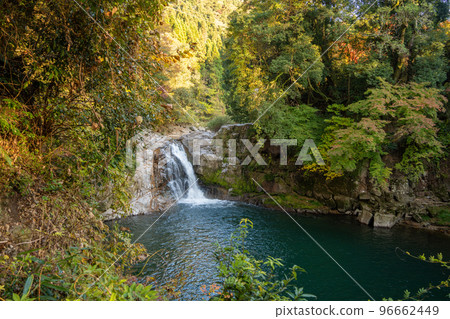 [Aichi Prefecture] Oshikawa Otaki 96662449