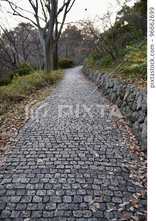 Cobbled street 96662699