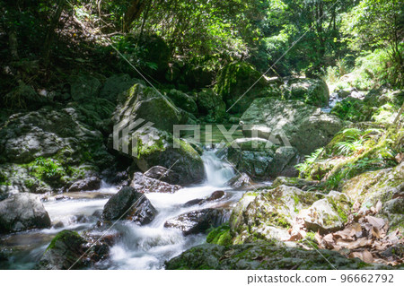 A mountain stream in the Yamabuki Valley located in Shakudai, Shimamoto Town, Osaka Prefecture A mountain stream in the Yamabuki Valley located in Shakudai, Shimamoto Town, Osaka Prefecture 96662792