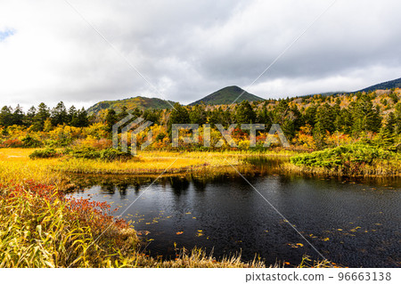 [Aomori Prefecture, Hakkoda] View of the Hakkoda mountain range in autumn, water lily swamp 96663138