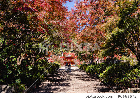 Katsuo-ji Temple Autumn Leaves Approach Katsuo-ji Temple Autumn Leaves Approach 96663672