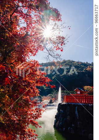 Katsuo-ji Temple Bentendo 和池塘上的秋葉 96663717