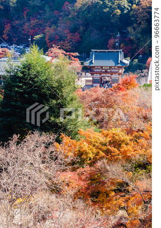 Katsuoji Autumn leaves 96663774