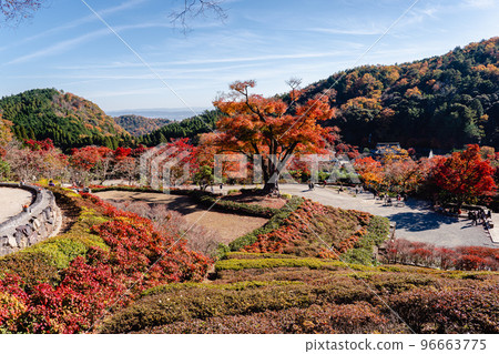 Katsuoji Autumn leaves 96663775