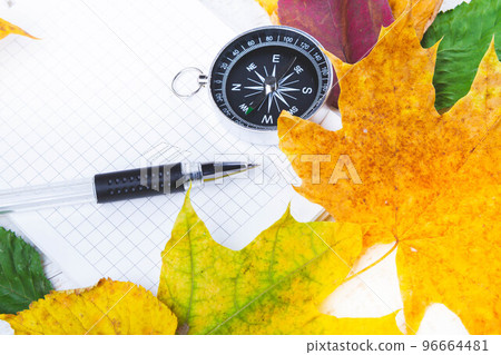 Traveller's Notes. Compass and notepad for notes in bright autumn leaves. 96664481
