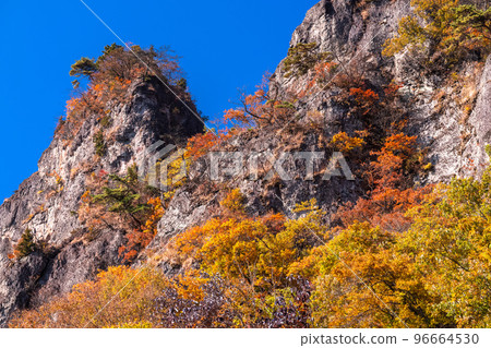 《Gunma Prefecture》Autumn Mt. Myogi・Autumn leaves season 《Gunma Prefecture》Autumn Mt. Myogi・Autumn leaves season 96664530