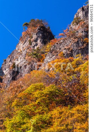 《Gunma Prefecture》Autumn Mt. Myogi・Autumn leaves season 《Gunma Prefecture》Autumn Mt. Myogi・Autumn leaves season 96664531