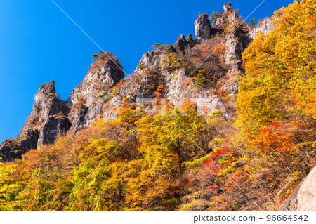 《群馬縣》秋季妙義山・紅葉季 96664542