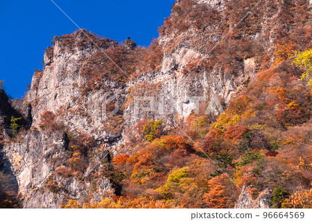 《Gunma Prefecture》Autumn Mt. Myogi・Autumn leaves season 96664569
