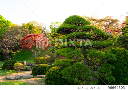 Scenery of a park in Otaru, Hokkaido 96664803