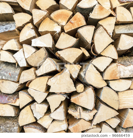 Stacked wooden logs Stacked wooden logs 96666459