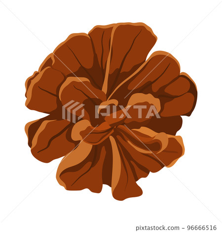 Christmas Fir Tree Cone Christmas Fir Tree Cone 96666516