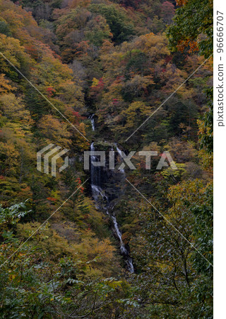 蛇的瀑布 蛇的瀑布 96666707