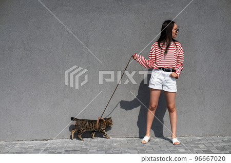 A young woman walks with a gray tabby cat on a leash against a gray wall. A young woman walks with a gray tabby cat on a leash against a gray wall. 96667020