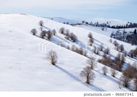 Winter landscape with snow from Alps 96667341