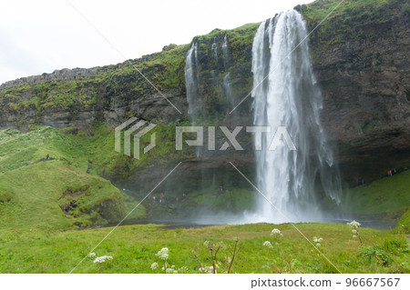 Seljalandsfoss falls in summer season view, Iceland 96667567