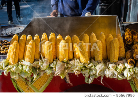 Plenty of organic peeled ears of corn after Autumn harvest. Plenty of organic peeled ears of corn after Autumn harvest. 96667996