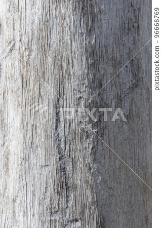 Weathered wood surface texture.Old log on the beach. Weathered wood surface texture.Old log on the beach. 96668769